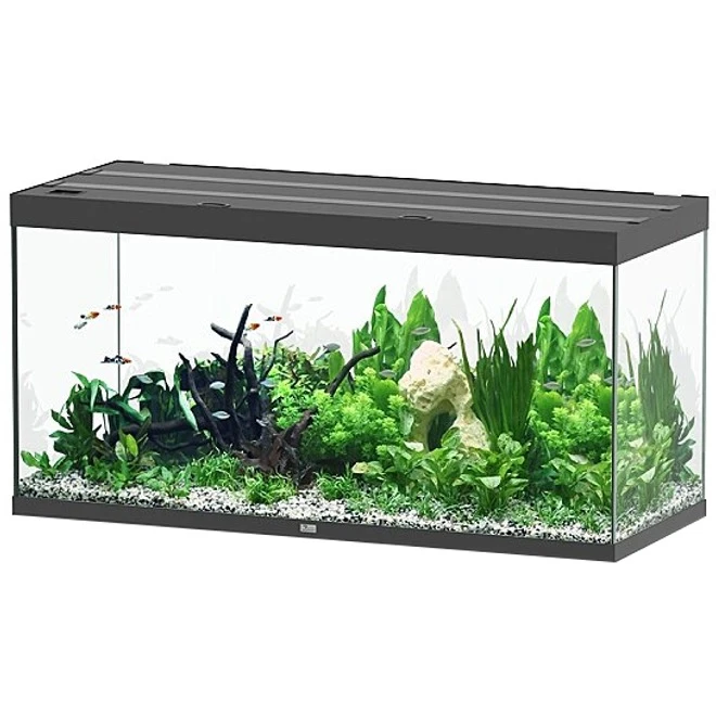 AQUATLANTIS Sublime Pro LED 2.0 150 X 60 X 75 Cm Noir Haute Brillance Aquarium équipé 648 L 3 AQUATLANTIS Sublime Pro LED 2.0 150 X 60 X 75 Cm Noir Haute Brillance Aquarium équipé 648 L