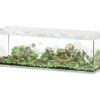 AQUATLANTIS Sublime Pro LED 2.0 200 X 60 X 75 Cm Béton Aquarium équipé 816 L -Poissons Aquariums Magasin aquatlantis aquarium sublime pro led 2 0 200 x 60 x 75 cm beton aquarium 816 l avec meuble