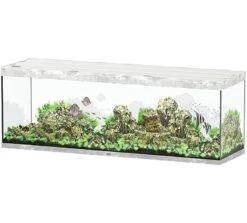 AQUATLANTIS Sublime Pro LED 2.0 200 X 60 X 75 Cm Béton Aquarium équipé 816 L