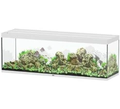 AQUATLANTIS Sublime Pro LED 2.0 200 X 60 X 75 Cm Blanc Haute Brillance Aquarium équipé 816 L