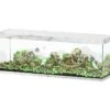 AQUATLANTIS Sublime Pro LED 2.0 200 X 60 X 75 Cm Chêne Blanc Aquarium équipé 816 L 2 AQUATLANTIS Sublime Pro LED 2.0 200 X 60 X 75 Cm Chêne Blanc Aquarium équipé 816 L -Poissons Aquariums Magasin aquatlantis aquarium sublime pro led 2 0 200 x 60 x 75 cm chene blanc aquarium 816 l avec meuble