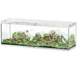 AQUATLANTIS Sublime Pro LED 2.0 200 X 60 X 75 Cm Chêne Blanc Aquarium équipé 816 L