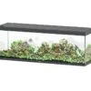 AQUATLANTIS Sublime Pro LED 2.0 200 X 60 X 75 Cm Gris Anthracite Brillant Aquarium équipé 816 L