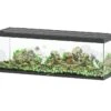 AQUATLANTIS Sublime Pro LED 2.0 200 X 60 X 75 Cm Noir Haute Brillance Aquarium équipé 816 L 2 AQUATLANTIS Sublime Pro LED 2.0 200 X 60 X 75 Cm Noir Haute Brillance Aquarium équipé 816 L -Poissons Aquariums Magasin aquatlantis aquarium sublime pro led 2 0 200 x 60 x 75 cm noir haute brillance aquarium 816 l avec meuble