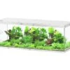 AQUATLANTIS Sublime Pro LED 2.0 200 X 70 X 75 Cm Chêne Blanc Aquarium équipé 1016 L -Poissons Aquariums Magasin aquatlantis aquarium sublime pro led 2 0 200 x 70 x 75 cm chene blanc aquarium 1016 l avec meuble