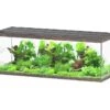 AQUATLANTIS Sublime Pro LED 2.0 200 X 70 X 75 Cm Chêne Sauvage Brun Aquarium équipé 1016 L -Poissons Aquariums Magasin aquatlantis aquarium sublime pro led 2 0 200 x 70 x 75 cm chene sauvage brun aquarium 1016 l avec meuble