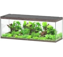 AQUATLANTIS Sublime Pro LED 2.0 200 X 70 X 75 Cm Chêne Sauvage Brun Aquarium équipé 1016 L
