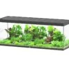 AQUATLANTIS Sublime Pro LED 2.0 200 X 70 X 75 Cm Noir Haute Brillance Aquarium équipé 1016 L 2 AQUATLANTIS Sublime Pro LED 2.0 200 X 70 X 75 Cm Noir Haute Brillance Aquarium équipé 1016 L -Poissons Aquariums Magasin aquatlantis aquarium sublime pro led 2 0 200 x 70 x 75 cm noir haute brillance aquarium 1016 l avec meuble