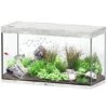 AQUATLANTIS Sublime Pro LED 2.0 120 X 50 X 70 Cm Béton Aquarium équipé 400 L 2 AQUATLANTIS Sublime Pro LED 2.0 120 X 50 X 70 Cm Béton Aquarium équipé 400 L -Poissons Aquariums Magasin aquatlantis aquariuml sublime pro led 2 0 120 x 50 x 70 cm beton aquarium 400 l avec meuble