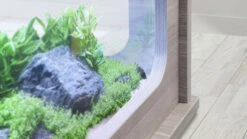 AQUATLANTIS AquaTable Blanc 100 X 63 Cm Aquarium 177 L Type Table Basse Tout équipé -Poissons Aquariums Magasin aquatlantis aquatable noir 100 x 63 cm aquarium 177 l type table basse tout equipe 1 3