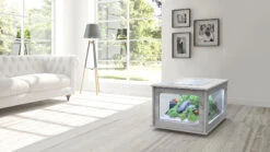 Poissons Aquariums Magasin 25 Poissons Aquariums Magasin -Poissons Aquariums Magasin aquatlantis aquatable noir 100 x 63 cm aquarium 177 l type table basse tout equipe 2 3