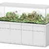 AQUATLANTIS Combinaison Sublime Pro LED 2.0 200 X 60 X 75 Cm Blanc Haute Brillance Aquarium 816 L Avec Meuble -Poissons Aquariums Magasin aquatlantis combinaison sublime pro led 2 0 200 x 60 x 75 cm blanc haute brillance aquarium 816 l avec meuble
