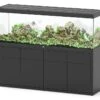 AQUATLANTIS Combinaison Sublime Pro LED 2.0 200 X 60 X 75 Cm Noir Haute Brillance Aquarium 816 L Avec Meuble -Poissons Aquariums Magasin aquatlantis combinaison sublime pro led 2 0 200 x 60 x 75 cm noir haute brillance aquarium 816 l avec meuble