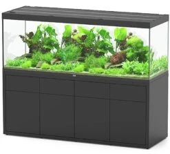 AQUATLANTIS Combinaison Sublime Pro LED 2.0 200 X 70 X 75 Cm Noir Haute Brillance Aquarium 1016 L Avec Meuble