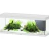 AQUATLANTIS Prestige 120 LED Blanc Aquarium équipé 217 L - Dimensions : 120 X 40 X 45 Cm -Poissons Aquariums Magasin aquatlantis prestige 120 led blanc aquarium equipe 217 l dimensions 120 x 40 x 45 cm