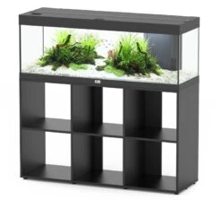 AQUATLANTIS Prestige 120 LED Noir Aquarium équipé 217 L Avec Meuble Standard - Dimensions : 120 X 40 X 45 Cm