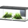 AQUATLANTIS Volga 240 Anthracite Mate Aquarium équipé 295 L - Dimensions : 122,5 X 42,7 X 55,4 Cm -Poissons Aquariums Magasin aquatlantis volga 240 anthracite mate aquarium equipe 295 l dimensions 122 5 x 42 7 x 55 4 cm 1