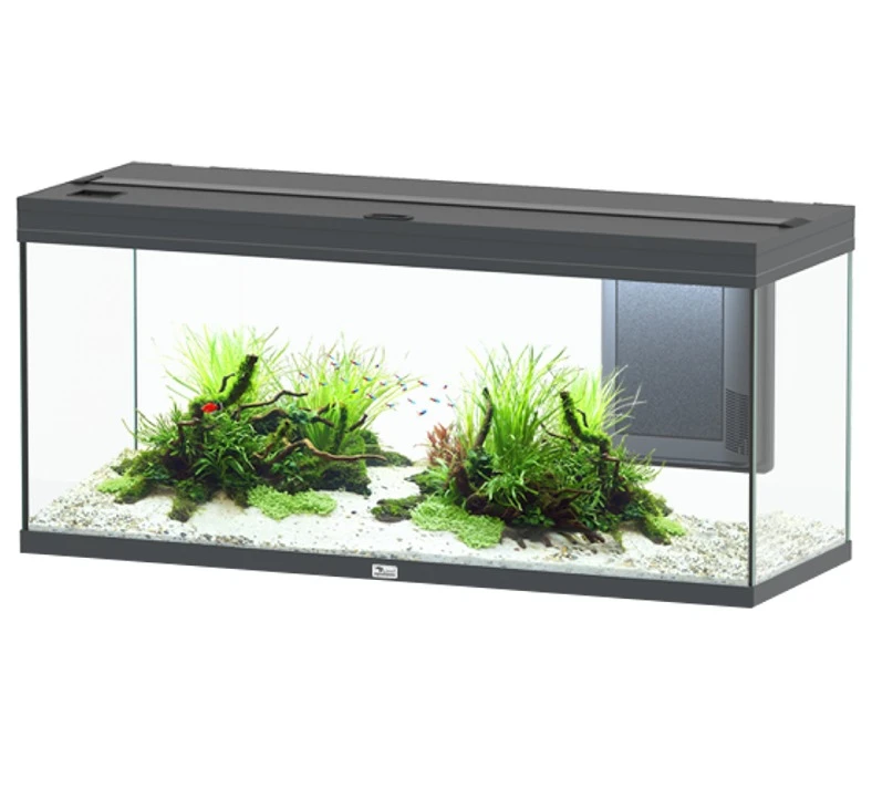 AQUATLANTIS Combinaison Volga 240 Anthracite Mate Aquarium équipé 295 L Avec Meuble Inclus 4 AQUATLANTIS Combinaison Volga 240 Anthracite Mate Aquarium équipé 295 L Avec Meuble Inclus – Image 2