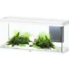 AQUATLANTIS Volga 240 Blanc Aquarium équipé 295 L - Dimensions : 122,5 X 42,7 X 55,4 Cm