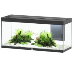 Nouvelles versions -Poissons Aquariums Magasin aquatlantis volga 240 noir aquarium equipe 295 l dimensions 122 5 x 42 7 x 55 4 cm424