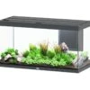 AQUATLANTIS Volga 350 Anthracite Mate Aquarium équipé 427 L - Dimensions : 122,5 X 52,7 X 66,1 Cm -Poissons Aquariums Magasin aquatlantis volga 350 anthracite mate aquarium equipe 427 l dimensions 122 5 x 52 7 x 66 1 cm