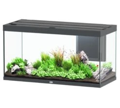 AQUATLANTIS Volga 350 Anthracite Mate Aquarium équipé 427 L - Dimensions : 122,5 X 52,7 X 66,1 Cm