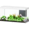 AQUATLANTIS Volga 350 Blanc Aquarium équipé 427 L - Dimensions : 122,5 X 52,7 X 66,1 Cm -Poissons Aquariums Magasin aquatlantis volga 350 blanc aquarium equipe 427 l dimensions 122 5 x 52 7 x 66 1 cm