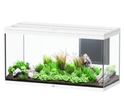 AQUATLANTIS Volga 350 Blanc Aquarium équipé 427 L - Dimensions : 122,5 X 52,7 X 66,1 Cm