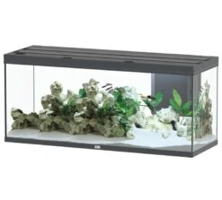 AQUATLANTIS Volga 450 Anthracite Mate Aquarium équipé 580 L - Dimensions : 152,5 X 52,7 X 67,6 Cm