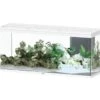 AQUATLANTIS Volga 450 Blanc Aquarium équipé 580 L - Dimensions : 152,5 X 52,7 X 67,6 Cm -Poissons Aquariums Magasin aquatlantis volga 450 blanc aquarium equipe 580 l dimensions 152 5 x 52 7 x 67 6 cm