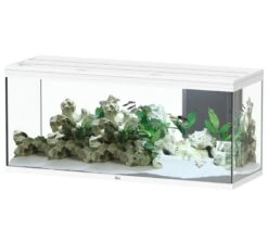 AQUATLANTIS Volga 450 Blanc Aquarium équipé 580 L - Dimensions : 152,5 X 52,7 X 67,6 Cm
