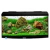 AQUAVIE StartUp 80B LED Noir Aquarium 112 L Avec Vitre Avant Bombé, Tout équipé, 80 X 35 X 40 Cm