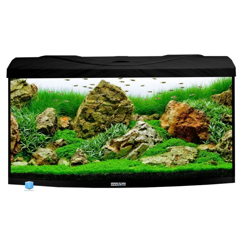 AQUAVIE StartUp 80B LED Noir Aquarium 112 L Avec Vitre Avant Bombé, Tout équipé, 80 X 35 X 40 Cm 3 AQUAVIE StartUp 80B LED Noir Aquarium 112 L Avec Vitre Avant Bombé, Tout équipé, 80 X 35 X 40 Cm