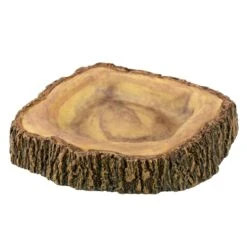 AQUAVIE Terra Abreuvoir Bois Pour Terrarium 11,8 X 9,2 X 2,5 Cm