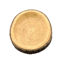 AQUAVIE Terra Abreuvoir Bois Rond Pour Terrarium 12,5 X 12 X 1,5 Cm