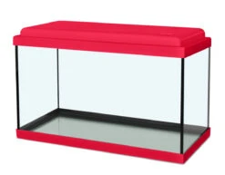 ZOLUX Nanolife Kidz 50 Rouge Cerise Nano-aquarium 33,5L Longueur 50 Cm