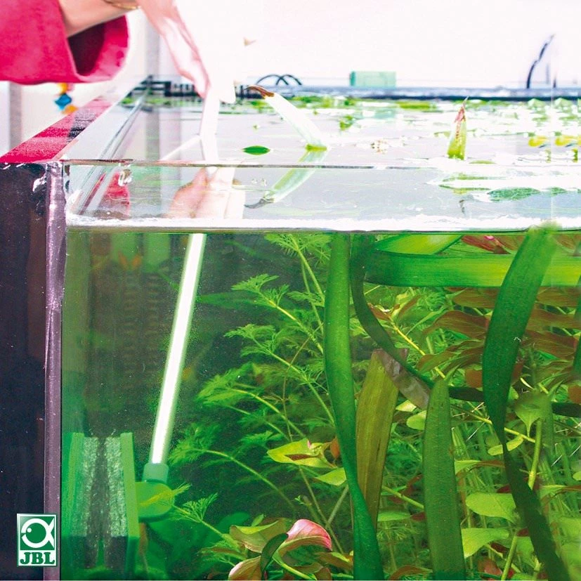 JBL Blanki Set Nettoyeur De Vitre D'aquarium Anti-rayure Avec Manche De 45cm 4 JBL Blanki Set Nettoyeur De Vitre D'aquarium Anti-rayure Avec Manche De 45cm – Image 2