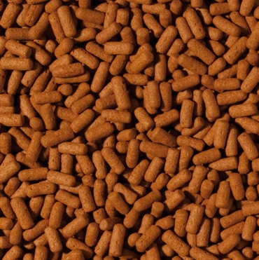 TROPICAL Cichlid & Arowana Large Sticks 1L Bâtonnets Rehaussant La Couleur, Pour Cichlidés De Grande Taille Et Arowanas Adultes 4 TROPICAL Cichlid & Arowana Large Sticks 1L Bâtonnets Rehaussant La Couleur, Pour Cichlidés De Grande Taille Et Arowanas Adultes – Image 2