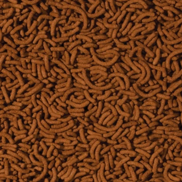 TROPICAL Cichlid & Arowana Medium Sticks 5L Bâtonnets Rehaussant La Couleur Pour Cichlidés De Taille Moyenne Et Jeunes Arowanas 4 TROPICAL Cichlid & Arowana Medium Sticks 5L Bâtonnets Rehaussant La Couleur Pour Cichlidés De Taille Moyenne Et Jeunes Arowanas – Image 2