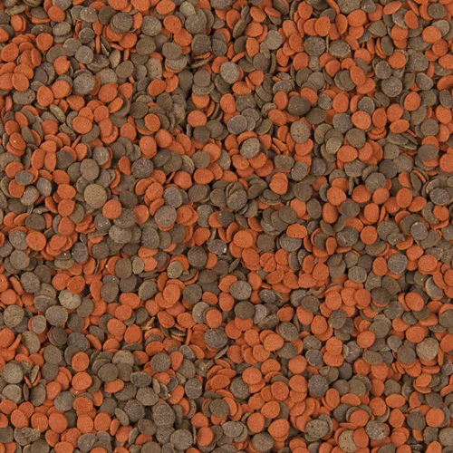 TROPICAL Cichlid Chips 250ml Nourriture Rehaussant La Couleur Pour Cichlides 4 TROPICAL Cichlid Chips 250ml Nourriture Rehaussant La Couleur Pour Cichlides – Image 2