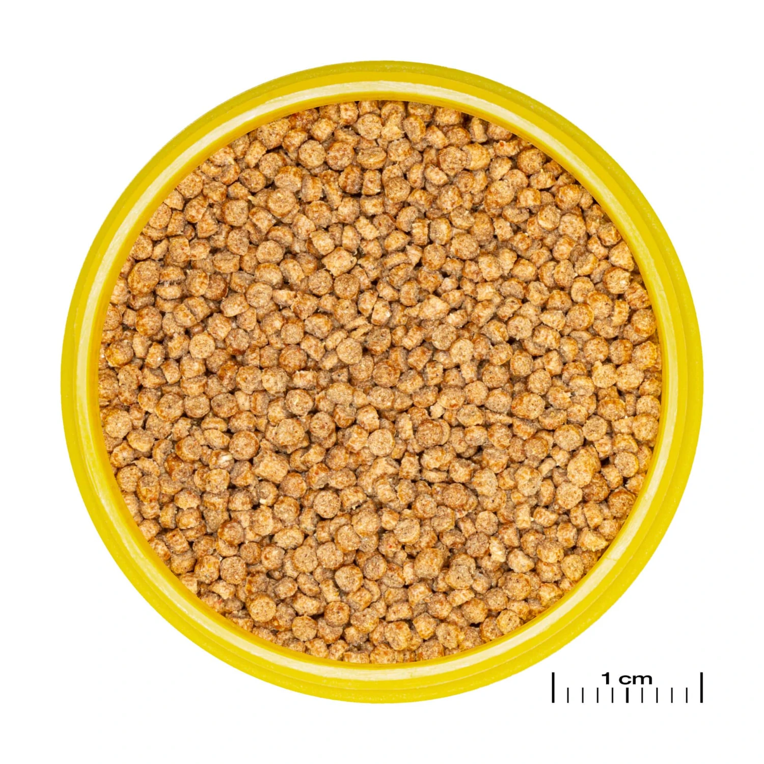 JBL ProNovo Cichlid Grano S 250 Ml Click Nourriture En Granulés Pour Petits Cichlidés De 3 à 10 Cm 4 JBL ProNovo Cichlid Grano S 250 Ml Click Nourriture En Granulés Pour Petits Cichlidés De 3 à 10 Cm – Image 2