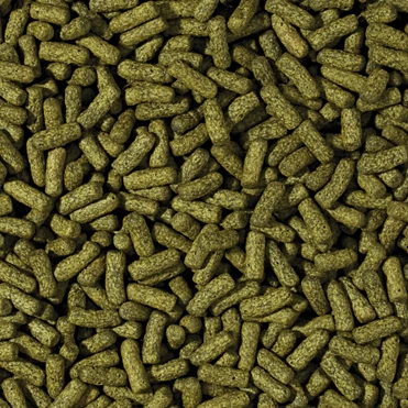 TROPICAL Cichlid Spirulina Large Sticks 10L Bâtonnets Végétaux Pour Cichlidés De Grande Taille, Avec Spirulina 4 TROPICAL Cichlid Spirulina Large Sticks 10L Bâtonnets Végétaux Pour Cichlidés De Grande Taille, Avec Spirulina – Image 2