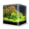 Cuve Nue AMTRA NanoTank 30 L Dimensions 30 X 30 X 35 Cm En Verre 5 Mm -Poissons Aquariums Magasin cuve nue amtra nanotank 30 l dimensions 30 x 30 x 35 cm en verre 5 mm