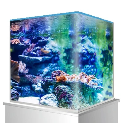 Cuve Nue AMTRA NanoTank 60 L Dimensions 38 X 38 X 43 Cm En Verre 5 Mm 4 Cuve Nue AMTRA NanoTank 60 L Dimensions 38 X 38 X 43 Cm En Verre 5 Mm – Image 2