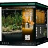 DENNERLE Nano Cube Complete+ 60 L Nano-aquarium 38 X 38 X 43 Cm Avec Substrat, Gravier, Filtration Et éclairage Style LED L -Poissons Aquariums Magasin dennerle nano cube complete 60 l nano aquarium 38 x 38 x 43 cm avec substrat gravier filtration et eclairage style led l