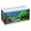 EHEIM AquaStar 54 LED Blanc Aquarium équipé 60 Cm 54L Disponible Avec Ou Sans Meuble