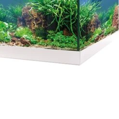 EHEIM AquaStar 54 LED Blanc Aquarium équipé 60 Cm 54L Disponible Avec Ou Sans Meuble -Poissons Aquariums Magasin eheim aquastar 54 led blanc aquarium equipe 60 cm 54l disponible avec ou sans meuble 3