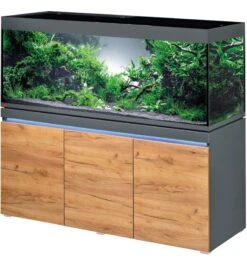 EHEIM Incpiria 530 LED Graphite / Nature Kit Aquarium 160 Cm 530 L Avec Meuble Et éclairage LEDs