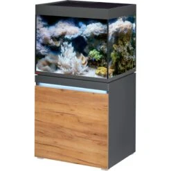EHEIM Incpiria Marine 230 LED Graphite / Nature Kit Aquarium 70 Cm 230 L Avec Meuble Et éclairage LEDs