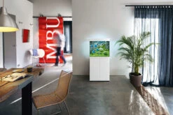 Aquarium JUWEL Lido 120 LED 61 X 41 X 58 Cm 120L - Gris, Blanc, Noir Ou Chêne Clair, Avec Ou Sans Meuble SBX -Poissons Aquariums Magasin fg juwel aquarium ambiente lido120 15 l